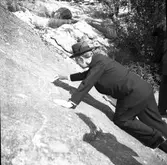 Kronprinsen i Furuvik. 1946