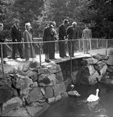 Kronprinsen i Furuvik. 1946