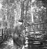 Kronprinsen i Furuvik. 1946