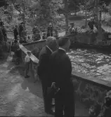 Kronprinsen i Furuvik. 1946