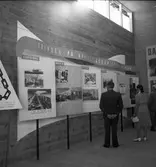 Utställningen 1946. Arbetarskyddspaviljongen.