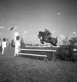 Ryttartävlingar. 1946