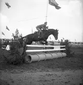 Ryttartävlingar. 1946