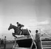 Ryttartävlingar. 1946