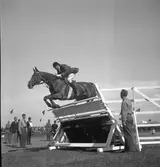 Ryttartävlingar. 1946