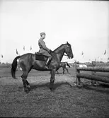 Ryttartävlingar. 1946