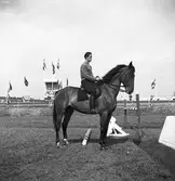 Ryttartävlingar. 1946
