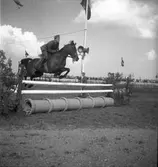 Ryttartävlingar. 1946