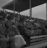 Lantbruksmötet. 1946