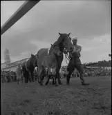 Lantbruksmötet. 1946