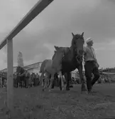 Lantbruksmötet. 1946