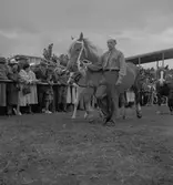 Lantbruksmötet. 1946