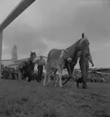 Lantbruksmötet. 1946