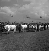 Lantbruksmötet. 1946