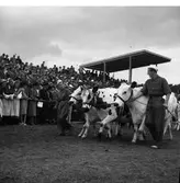 Lantbruksmötet. 1946