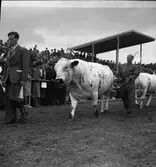 Lantbruksmötet. 1946