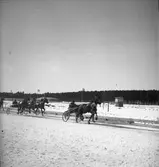 Travet. 17/3 1946