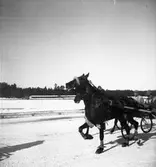 Travet. 17/3 1946