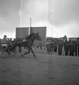 Travet. 20/4 1946