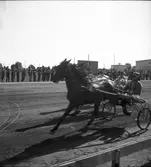Trav den 1/9 1946.