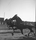 Trav. 13 april 1947.