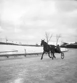 Trav i februari 1946.
