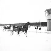Trav, lopp nr:2. 24/2 1946