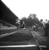 DM. I allmän idrott. (bl.a. löpning 2500 M.) 1946

