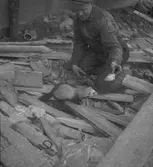 En iller på bygget blir matad. 1946