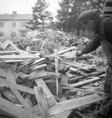 En iller på bygget blir matad. 1946