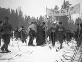 Skolungdomens fettisdagens tävlingar på skidor. 1946