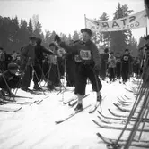 Skolungdomens fettisdagens tävlingar på skidor. 1946