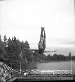 Simhoppare Hult. 1946