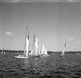 SM i segling. 1946