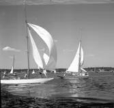 SM i segling. 1946