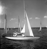 SM i segling. 1946