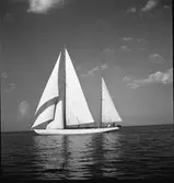 SM i segling. 1946