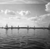SM i segling. 1946