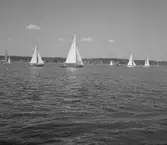 SM i segling. 1946