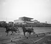 Jubileumsloppet, travet 27/4 1946.

Segrare nummer. 9 