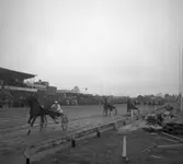 Jubileumsloppet, travet 27/4 1946.

Segrare nummer. 9 