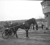 Jubileumsloppet, travet 27/4 1946.

Segrare nummer. 9 