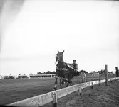 Amatörloppet, travet 14/4 1946.

