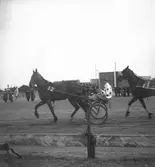 Amatörloppet, travet 14/4 1946.


