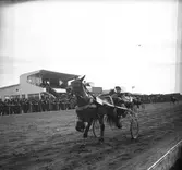 Amatörloppet, travet 14/4 1946.


