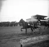Amatörloppet, travet 14/4 1946.

