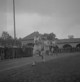 Landskapleken i allmän idrott,
Gästrikland - Uppland. 1946