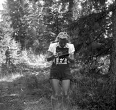 Landskapsmatchen i orientering mellan Gästrikland och Uppland.
1946