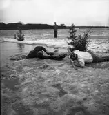 Isvak. 1946