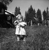 Källberg och Carlsson.